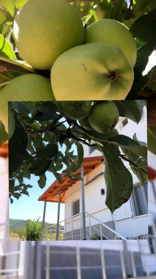 Hotel Apostoli Πρεμετή Εξωτερικό φωτογραφία