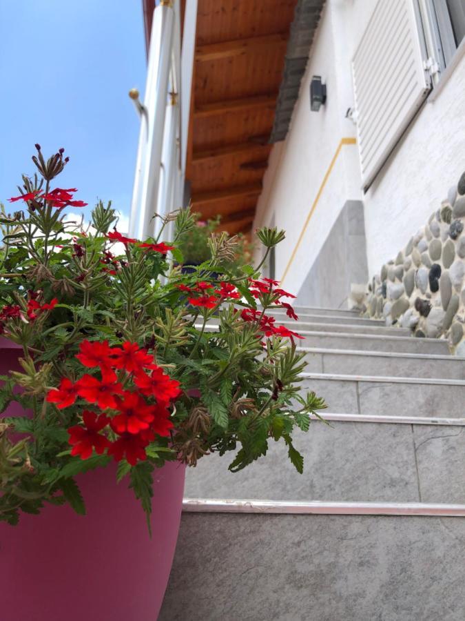 Hotel Apostoli Πρεμετή Εξωτερικό φωτογραφία