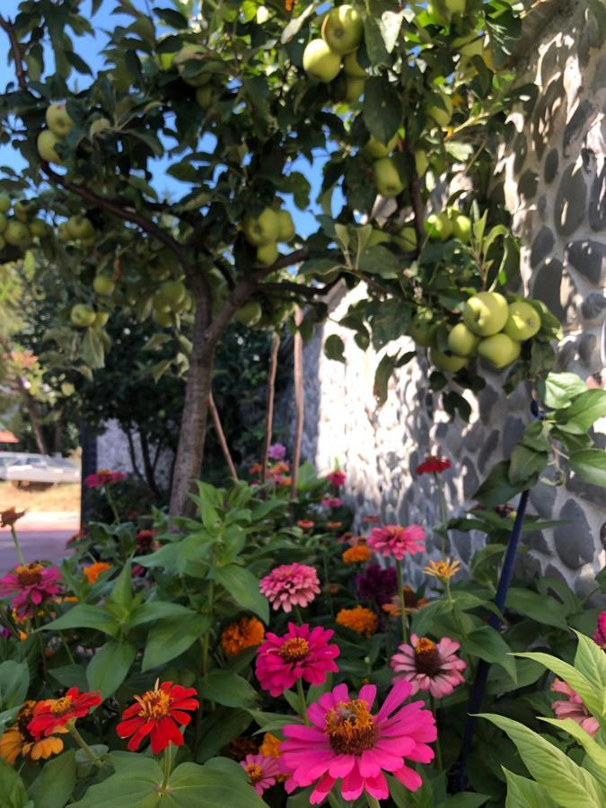 Hotel Apostoli Πρεμετή Εξωτερικό φωτογραφία